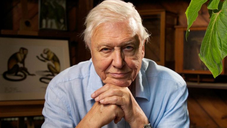 Sir Attenborough: “Ninguna acción global tendrá éxito sin China” 7 Sir Attenborough: “Ninguna acción global tendrá éxito sin China”