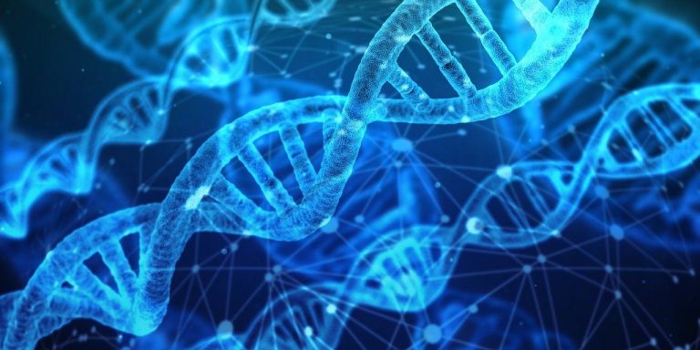 Cómo impulsar su metabolismo de forma natural 6 Cómo impulsar su metabolismo de forma natural
