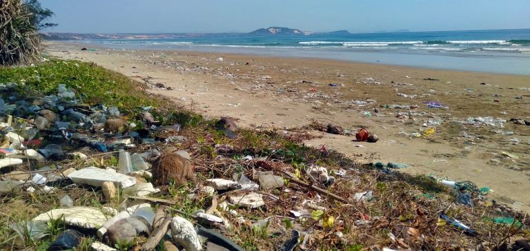 Gran parte del plástico oceánico regresa a la costa 2 Gran parte del plástico oceánico regresa a la costa