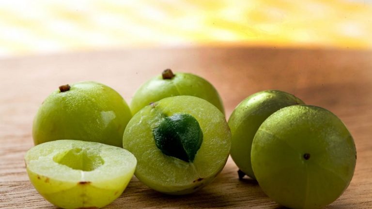 Este fruto refuerza y da brillo a tu cabello: Amla 7 Este fruto refuerza y da brillo a tu cabello: Amla