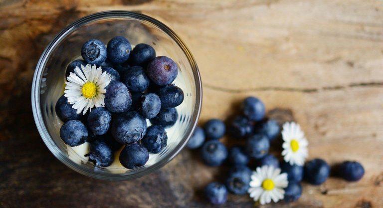 Los mejores alimentos para la salud de tus riñones 10 Los mejores alimentos para la salud de tus riñones