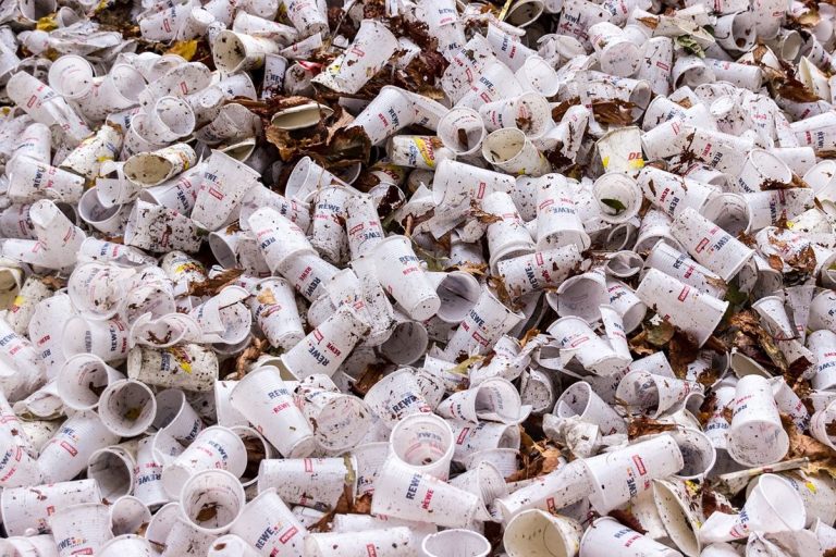 La nueva directiva de la UE sobre plásticos, podría causar otros problemas 2 La nueva directiva de la UE sobre plásticos, podría causar otros problemas