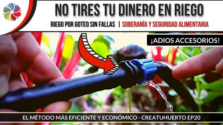 Cómo hacer un sistema de riego casero y eficiente