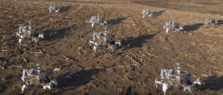 Los robots agrícolas podrían salvar el planeta,... o destruirlo 4 Los robots agrícolas podrían salvar el planeta,… o destruirlo