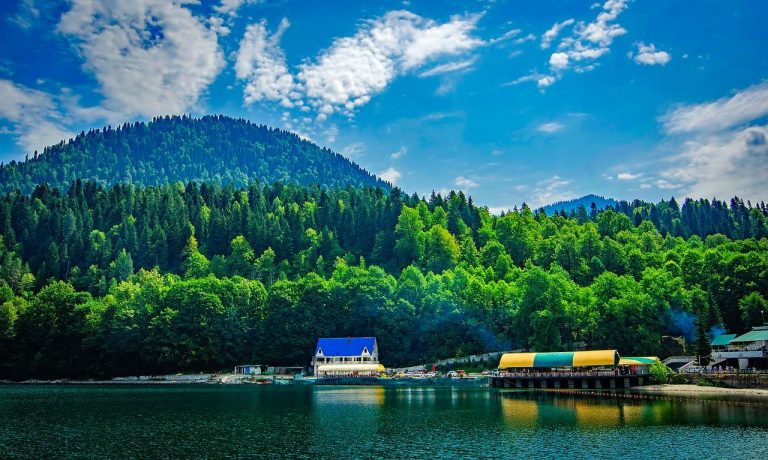 Bosques de Rusia capturan mucho más carbono de lo pensado 4 Bosques de Rusia capturan mucho más carbono de lo pensado