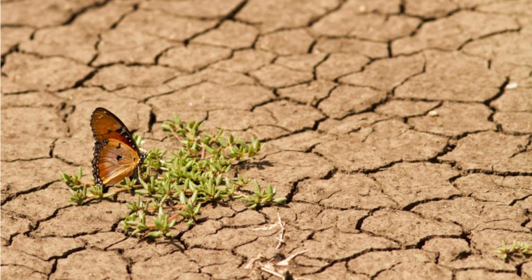 El calor mata: es hora de saber por qué y cómo adaptarse 8 El calor mata: es hora de saber por qué y cómo adaptarse