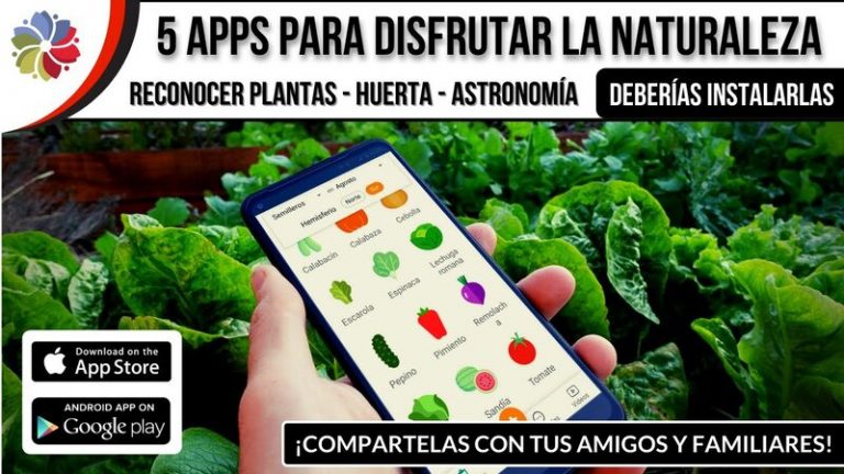 Las 5 mejores aplicaciones para aprender de la naturaleza 5 Las 5 mejores aplicaciones para aprender de la naturaleza