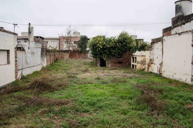 Convertir lotes baldíos en espacios verdes puede ayudar a las abejas 9 Convertir lotes baldíos en espacios verdes puede ayudar a las abejas