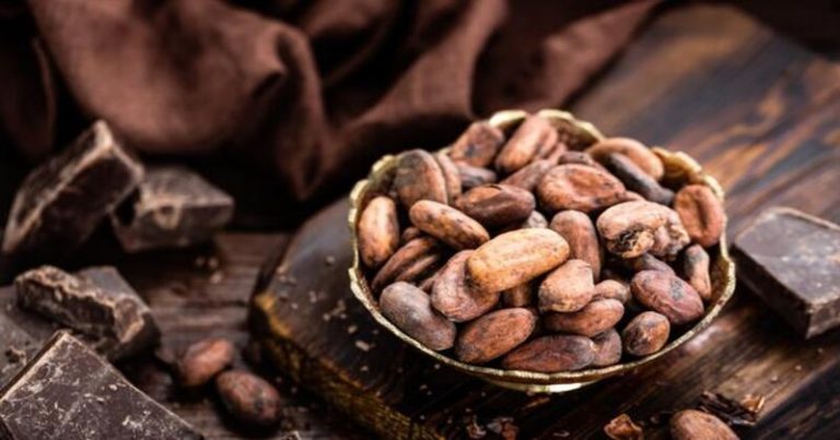 El cacao puede mejorar la agudeza visual 4 El cacao puede mejorar la agudeza visual