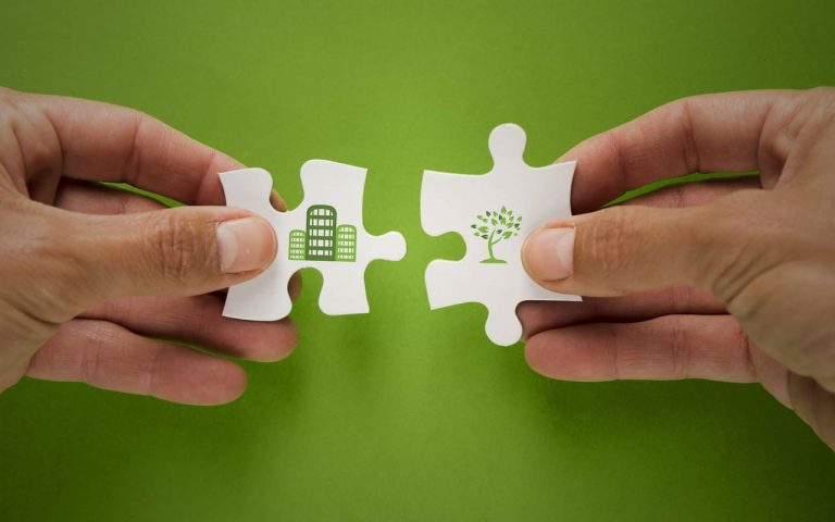 ¿Cómo hacer su negocio ecológico en línea?