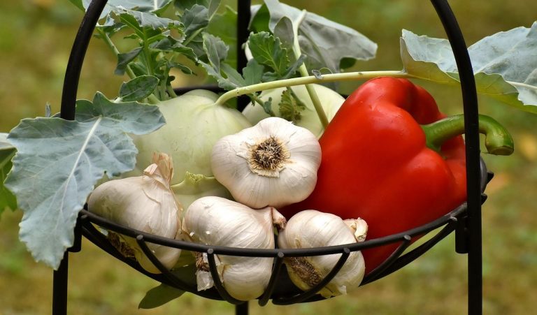 Las dietas a base de plantas son mejores para su corazón y para el planeta