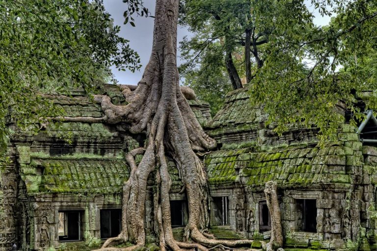 Angkor y Mayas pueden enseñarnos sobre la resiliencia climática 8 Angkor y Mayas pueden enseñarnos sobre la resiliencia climática