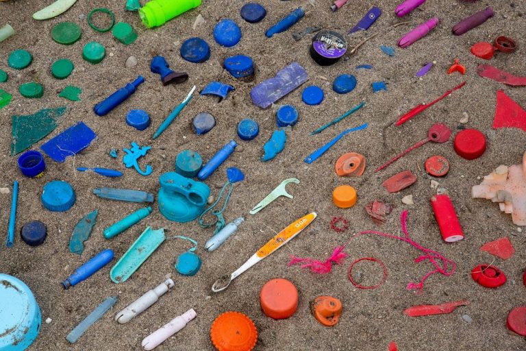 Nuevo estudio sobre la basura costera en todo el mundo 5 Nuevo estudio sobre la basura costera en todo el mundo