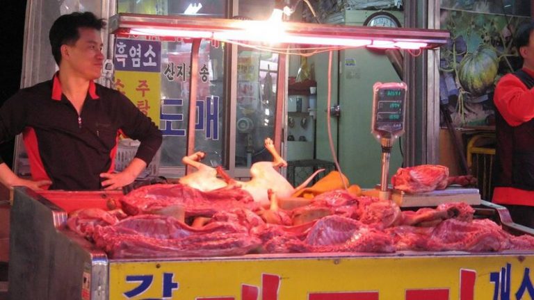 Corea del Sur prohibirá el consumo de carne de perro? 10 Corea del Sur prohibirá el consumo de carne de perro?
