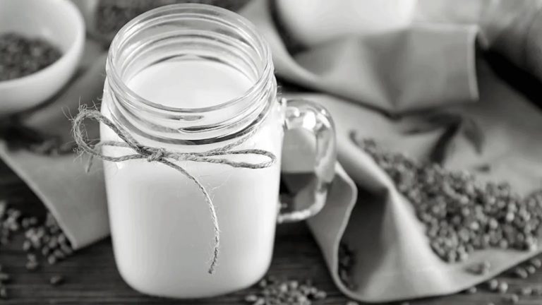 Leche de cáñamo: beneficios para la salud y el planeta 10 Leche de cáñamo: beneficios para la salud y el planeta