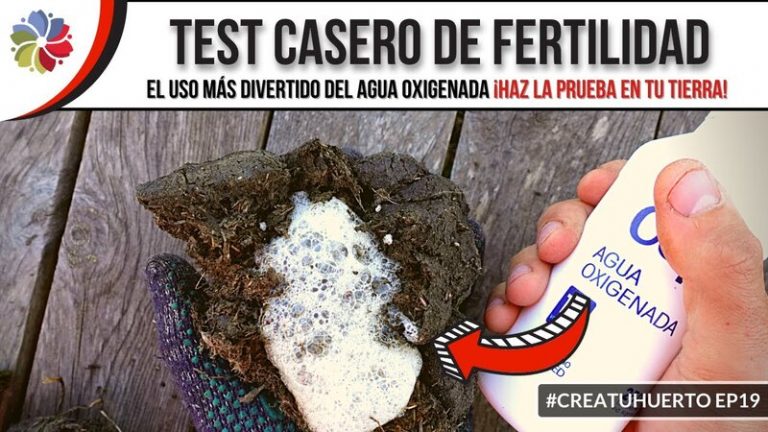 Comprueba la fertilidad de tu tierra con este test casero 5 Comprueba la fertilidad de tu tierra con este test casero