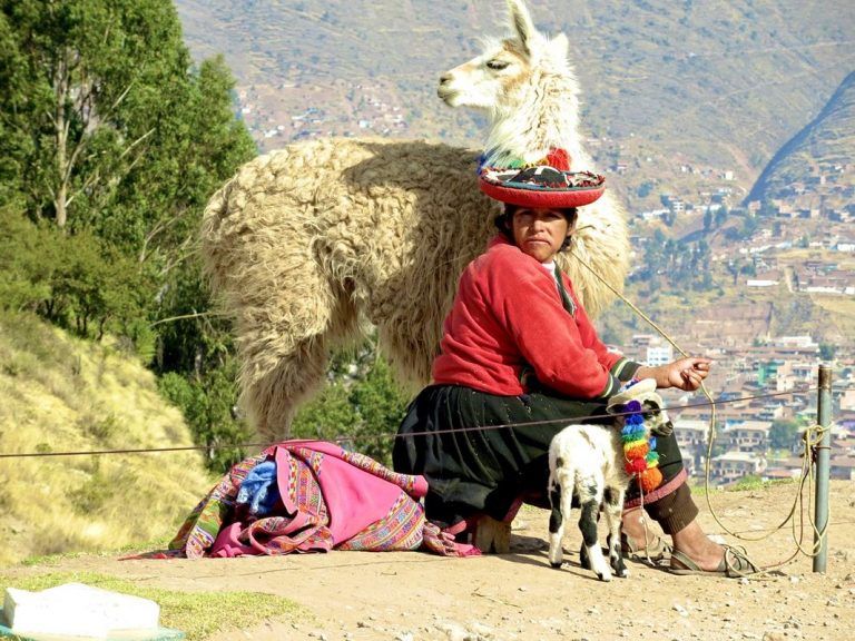 El Acuerdo de Escazú, como colaborar para salvar especies 2 El Acuerdo de Escazú, como colaborar para salvar especies