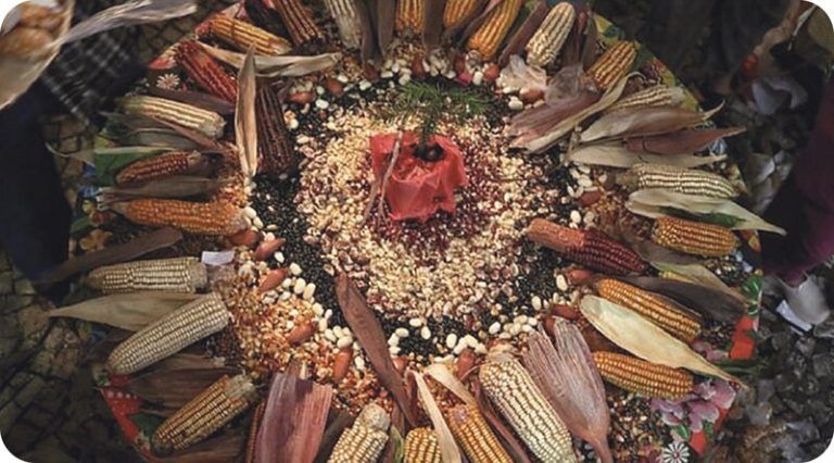 "Grano", otra relación con la naturaleza - Documental 8 «Grano», otra relación con la naturaleza – Documental