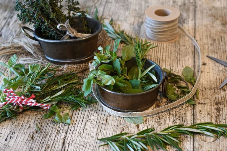 Cómo limpiar tu páncreas con recetas naturales 7 Cómo limpiar tu páncreas con recetas naturales