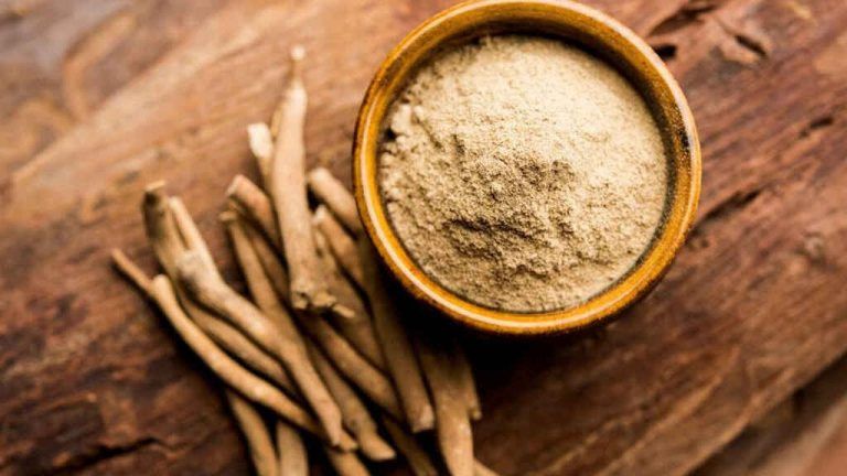 Conoces la la polifacética planta ashwagandha?