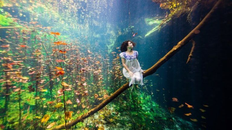 Arte visual para concienciar sobre el ser de la Tierra "Yo soy cenote" 7 Arte visual para concienciar sobre el ser de la Tierra «Yo soy cenote»