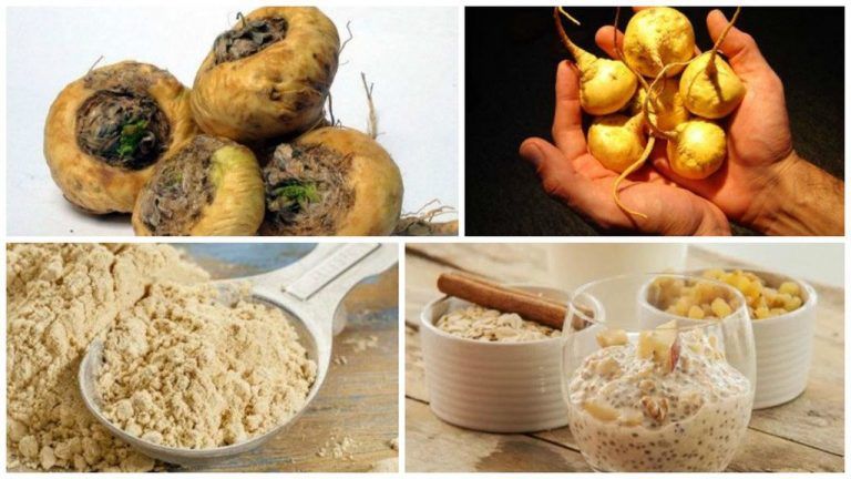 Maca, milagro para la salud y la sexualidad 4 Maca, milagro para la salud y la sexualidad