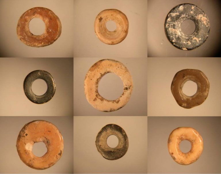 Cáscaras de huevo de avestruz revelan una red social de hace 50.000 años en toda África 5 Cáscaras de huevo de avestruz revelan una red social de hace 50.000 años en toda África