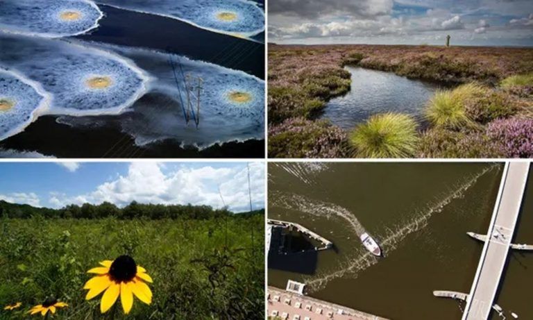 Los cinco impulsores clave de la pérdida de biodiversidad 7 Los cinco impulsores clave de la pérdida de biodiversidad