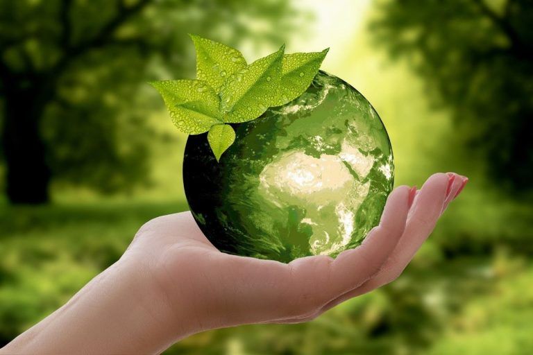Consejos para un hogar ecológico y sostenible 5 Consejos para un hogar ecológico y sostenible