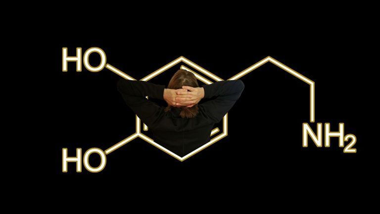 La insulina afecta la producción de dopamina (la hormona de la “felicidad”) 7 La insulina afecta la producción de dopamina (la hormona de la “felicidad”)