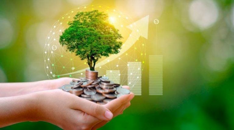 COP26: los negocios climáticos no son la respuesta a la crisis climática 7 COP26: los negocios climáticos no son la respuesta a la crisis climática