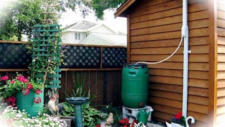 Cómo crear un recolector y filtrar agua de lluvia con un sistema que se utiliza hace 100 años 1 Cómo crear un recolector y filtrar agua de lluvia con un sistema que se utiliza hace 100 años