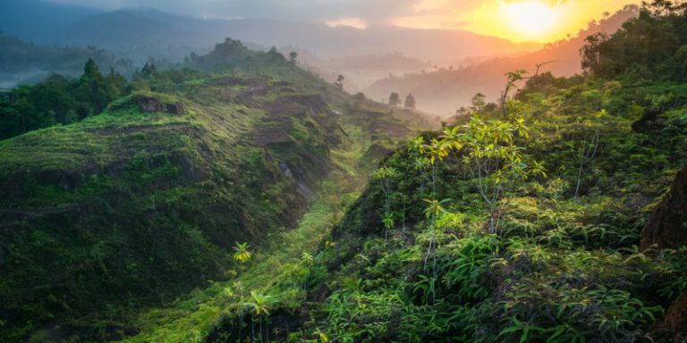 Solo el 2,9% de la Tierra se considera ecológicamente intacta 10 Solo el 2,9% de la Tierra se considera ecológicamente intacta