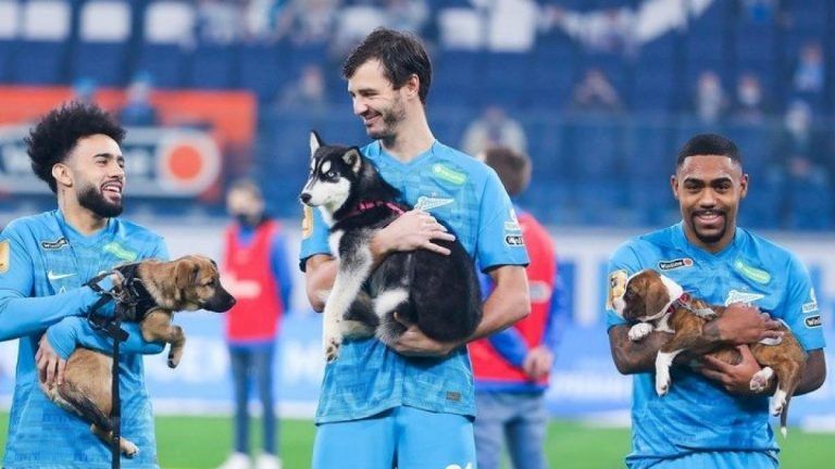 Futbolistas salen a la cancha con perros huérfanos para que los adopten 3 Futbolistas salen a la cancha con perros huérfanos para que los adopten