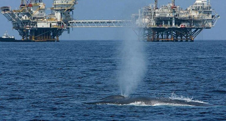 Mar del Plata: dictaminan en favor del cese y/o suspensión de las actividades de exploración sísmica y explotación petrolífera 6 Mar del Plata: dictaminan en favor del cese y/o suspensión de las actividades de exploración sísmica y explotación petrolífera