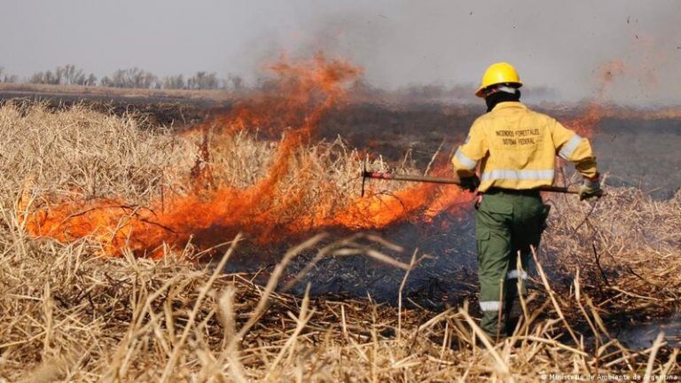 Ley de Humedales: sobre prenderse fuego, estado de situación y bronca 4 Ley de Humedales: sobre prenderse fuego, estado de situación y bronca