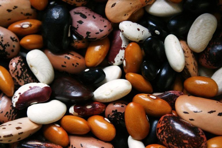 Guisantes de ojos negros, fertilizantes naturales para abandonar los químicos 7 Guisantes de ojos negros, fertilizantes naturales para abandonar los químicos