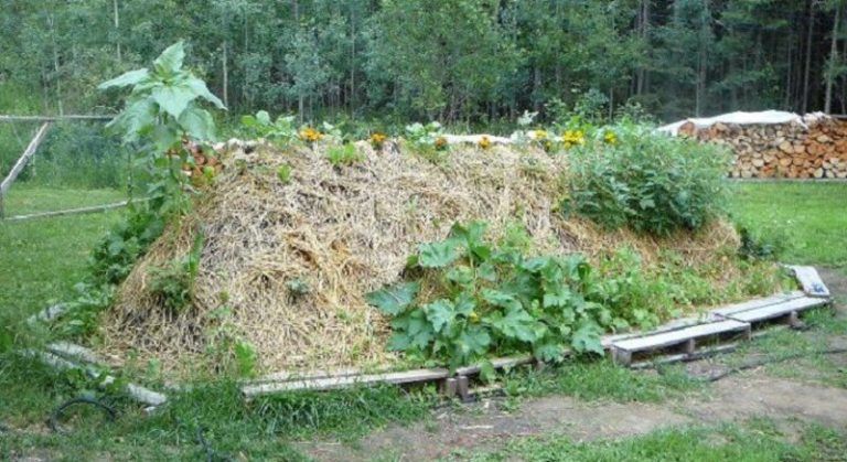 Bancal Hugelkultur y receta Banaki, fertilidad asegurada para tu huerto 2 Bancal Hugelkultur y receta Banaki, fertilidad asegurada para tu huerto