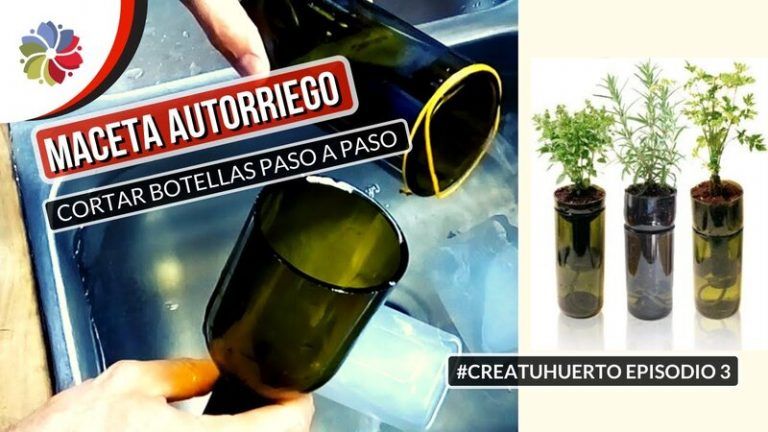Maceta con autoriego para interiores 5 Maceta con autoriego para interiores