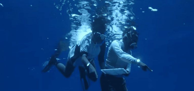 Las mujeres del mar de Melanesia: inspiración climática para 2022 5 Las mujeres del mar de Melanesia: inspiración climática para 2022