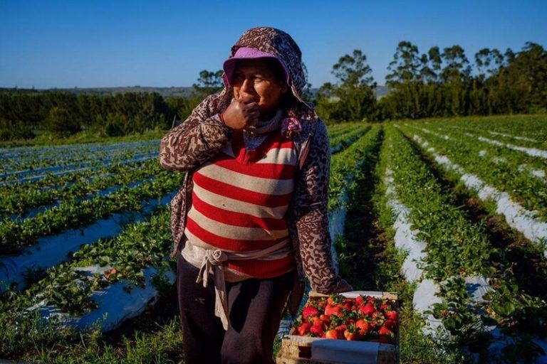 ¿Pueden convivir el modelo del agronegocio y la soberanía alimentaria? 9 ¿Pueden convivir el modelo del agronegocio y la soberanía alimentaria?
