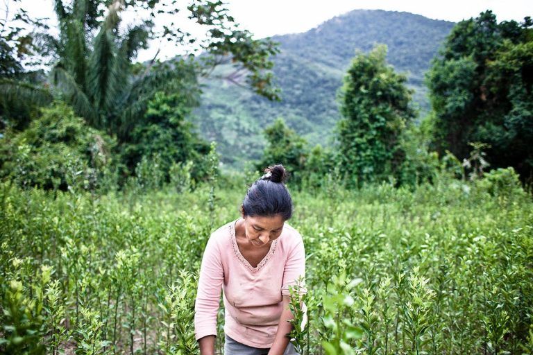 Ellas alimentan el mundo, pero la tierra es de ellos 7 Ellas alimentan el mundo, pero la tierra es de ellos