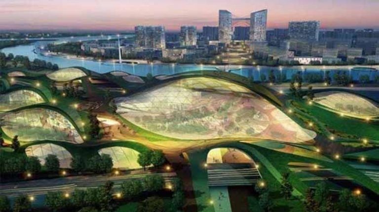 La biología ayuda pensar las ciudades del futuro
