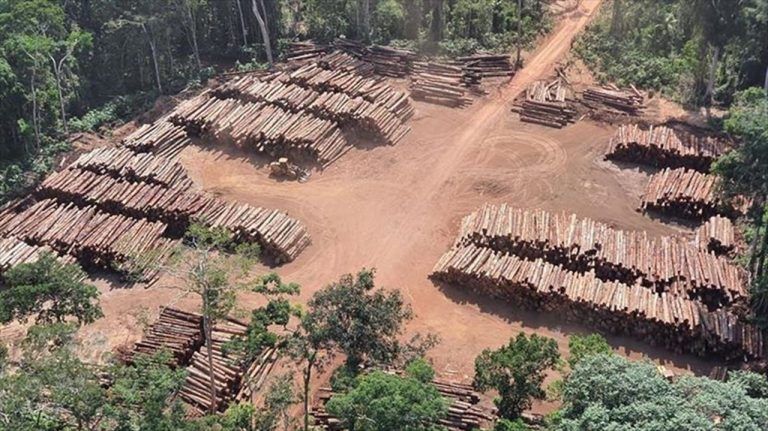 Brasil privatiza tierras públicas, e impulsa la deforestación 9 Brasil privatiza tierras públicas, e impulsa la deforestación