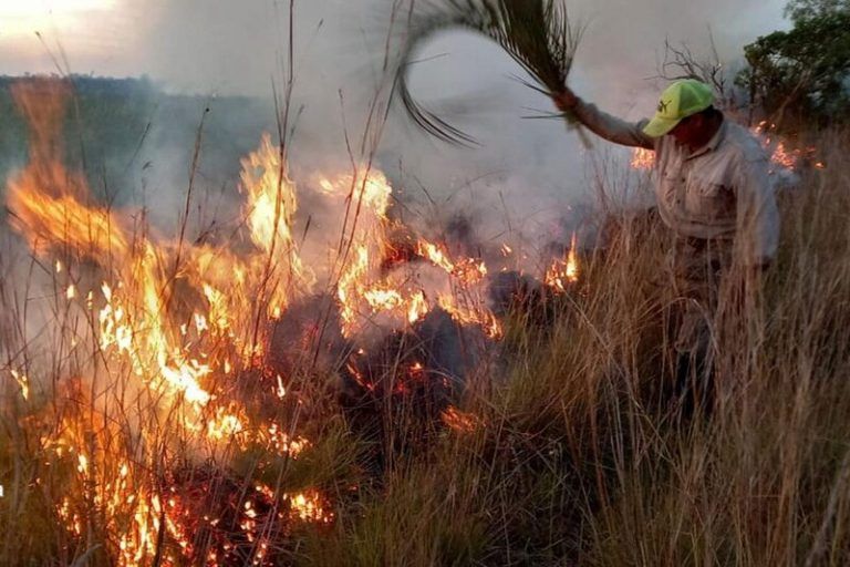 Incendios en Corrientes: sequía, cambio climático y desidia política 5 Incendios en Corrientes: sequía, cambio climático y desidia política