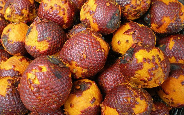 Los superalimentos descartados que podrían ayudar a reducir el hambre en Brasil