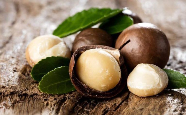 Nueces de macadamia: beneficios para la salud y la belleza 6 Nueces de macadamia: beneficios para la salud y la belleza