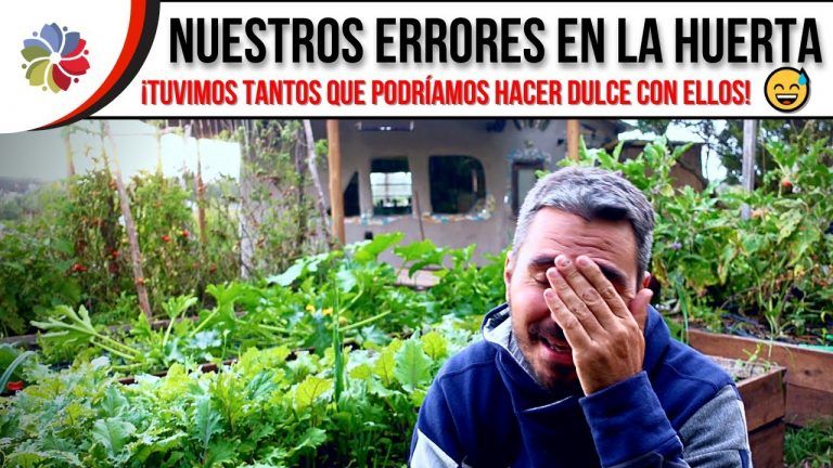 Los errores que cometimos en nuestra huerta