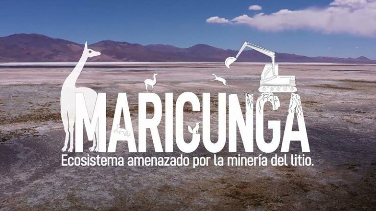 Maricunga: ecosistema amenazado por la minería del litio 8 Maricunga: ecosistema amenazado por la minería del litio