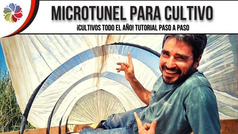 Se acercan los meses fríos, construye un microtúnel para tus cultivos 3 Se acercan los meses fríos, construye un microtúnel para tus cultivos
